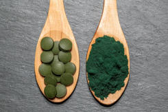 Vielseitige Blaualge: Spirulina erobert die Speisepläne