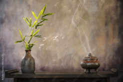 Bezaubernder Weihrauch: Das macht das Öl so besonders