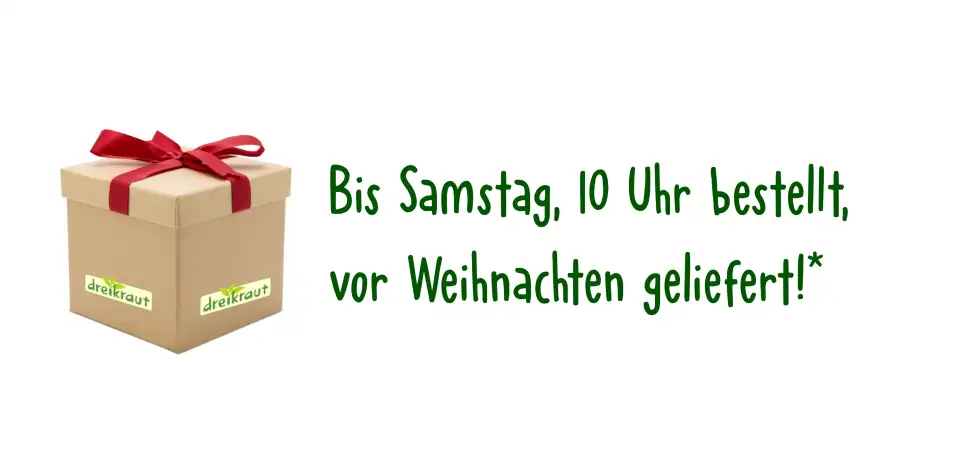 Weihnachts-Lieferversprechen