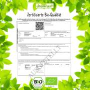 Pfefferminzöl Bio, 100% naturrein 10 ml