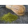 Premium-Siam-Matcha-Tee aus Nordthailand, 100g